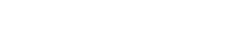 Gerencia de Marketing y Logística Equipo integral para el crecimiento global
