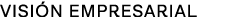 Visión empresarial