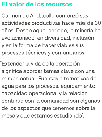 El valor de los recursos Carmen de Andacollo comenzó sus actividades productivas hace más de 30 años  Desde aquel per   