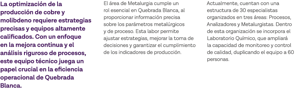 La optimización de la producción de cobre y molibdeno requiere estrategias precisas y equipos altamente calificados     