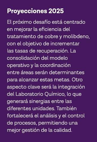 Proyecciones 2025 El próximo desafío está centrado en mejorar la eficiencia del tratamiento de cobre y molibdeno, con   