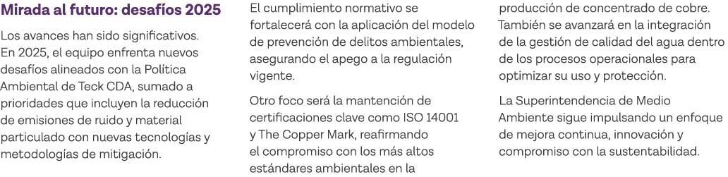 Mirada al futuro: desafíos 2025 Los avances han sido significativos  En 2025, el equipo enfrenta nuevos desafíos alin   