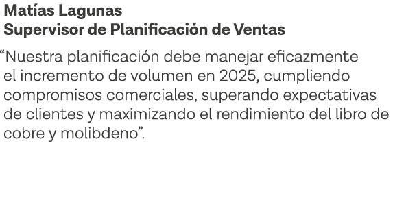 Matías Lagunas Supervisor de Planificación de Ventas  Nuestra planificación debe manejar eficazmente el incremento de   